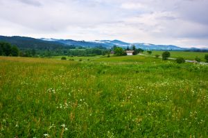 1059082_sumava_landscape.jpg