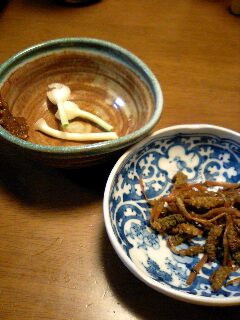 20070326c.jpg