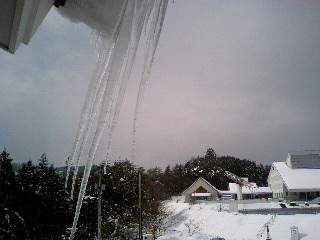 20080215a.JPG