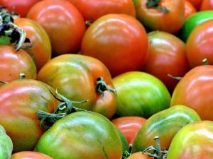 738170_fresh_tomatoes.jpg