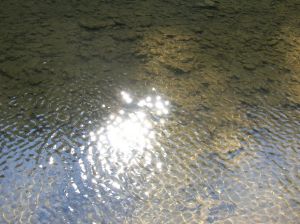 783511_sun-dappled_water.jpg