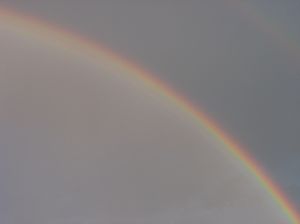 806622_rainbow.jpg