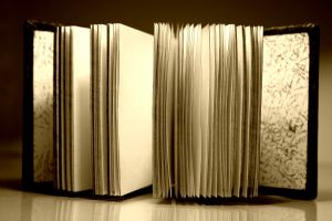 830252_open_book.jpg