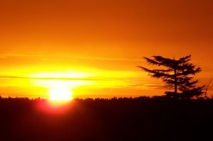 913480_sunrise_1.jpg