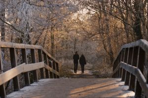 925949_winter_walk.jpg