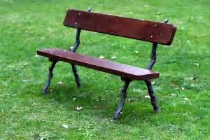 968770_bench.jpg