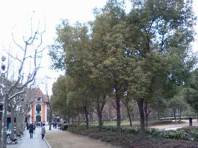 CA330895.JPG