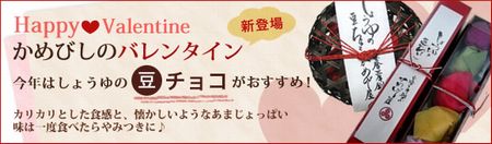 瀬戸内国際芸術祭のポスター