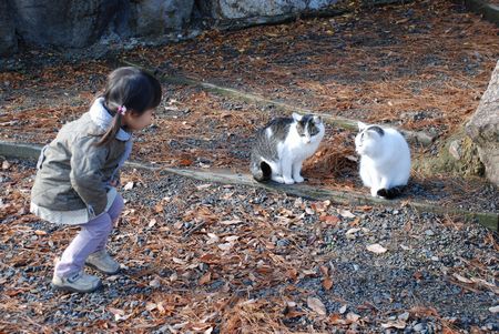 地元学からの出発