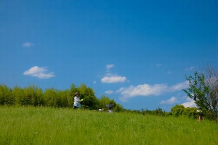 僕の最大のライバルは、マイケルランドン