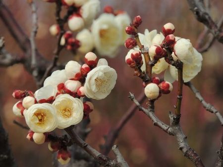 新年度は若手の成長が爆発する予感。