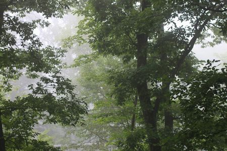 霧のむこうのふしぎな町